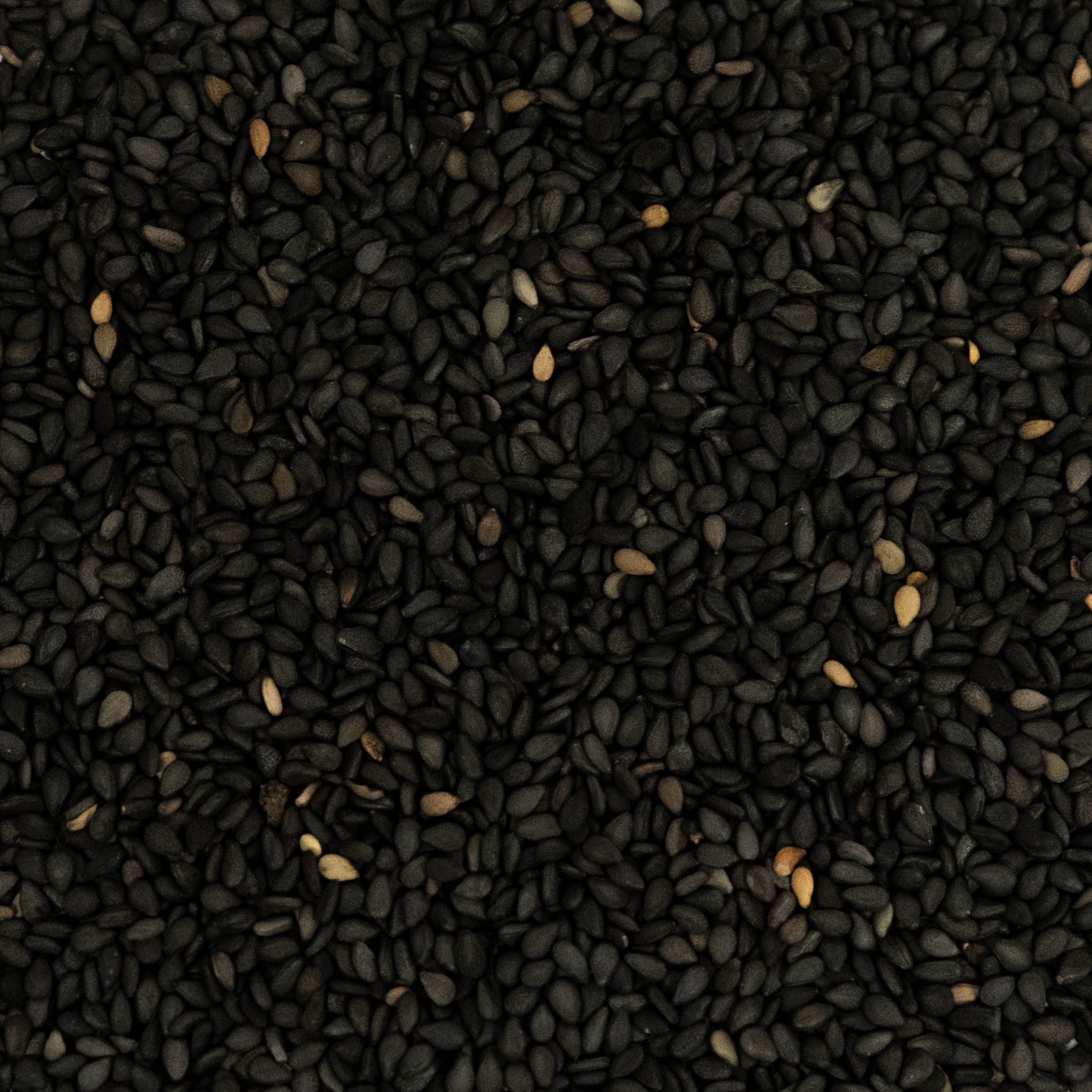 SÉSAMO NEGRO 120g 1