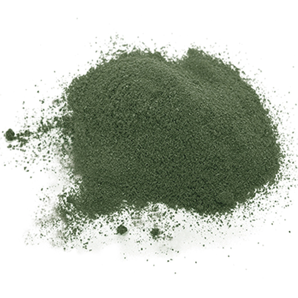 CODIUM EN POLVO 100G