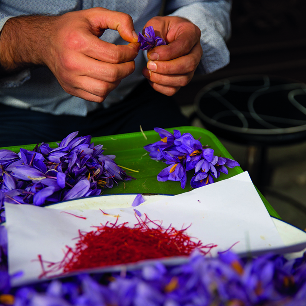 AZAFRÁN EN HEBRA PUSHAL CAT. I 10g 2