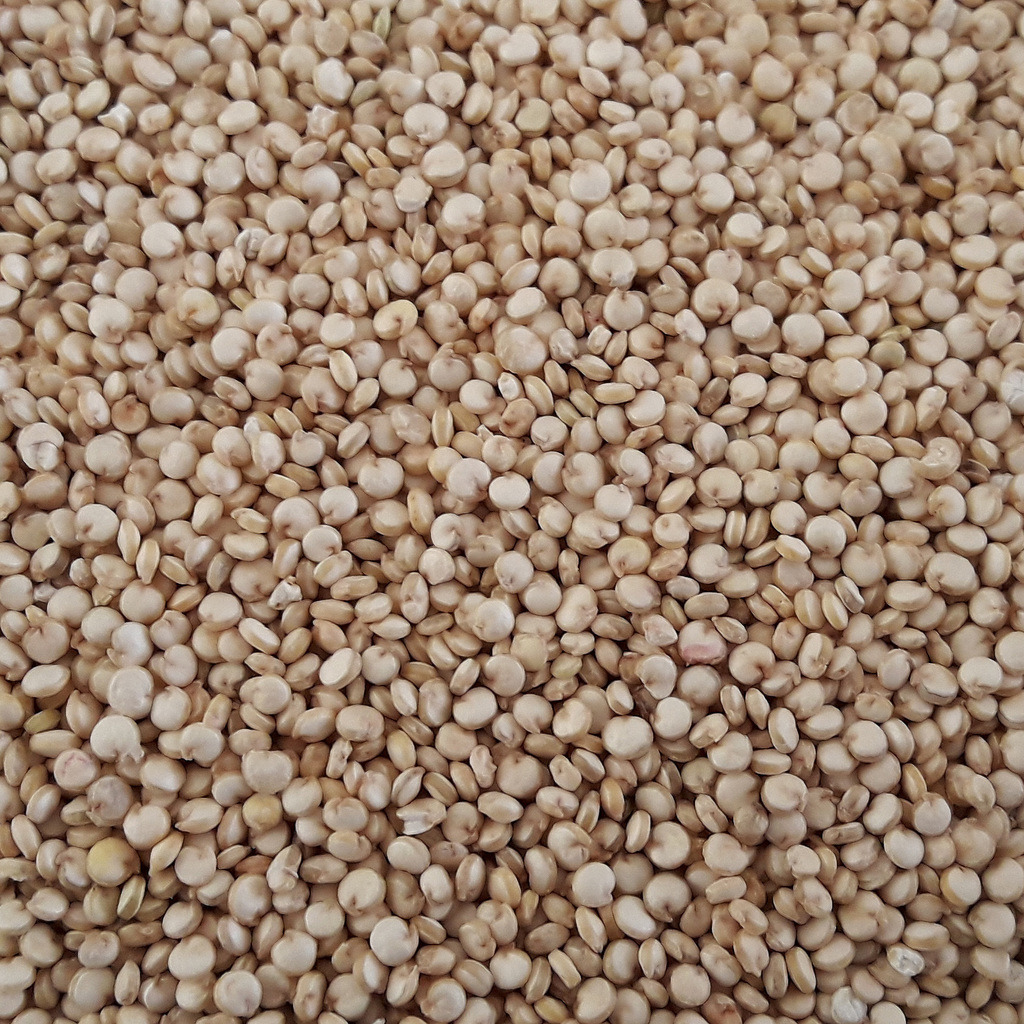 QUINOA ECOLÓGICA BLANCA 800g