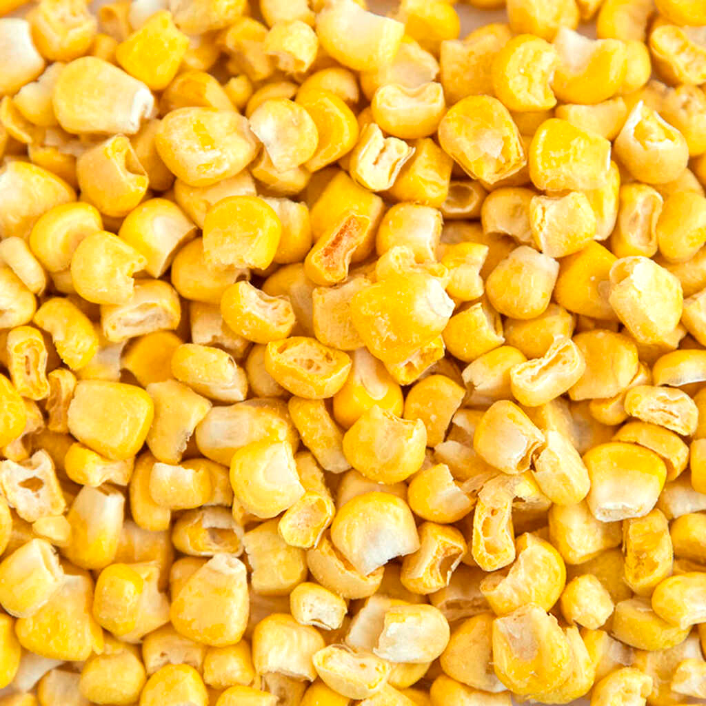 MAÍZ ENTERO LIOFILIZADO 600g