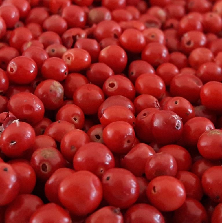 PIMIENTA ROSA SECA 150g