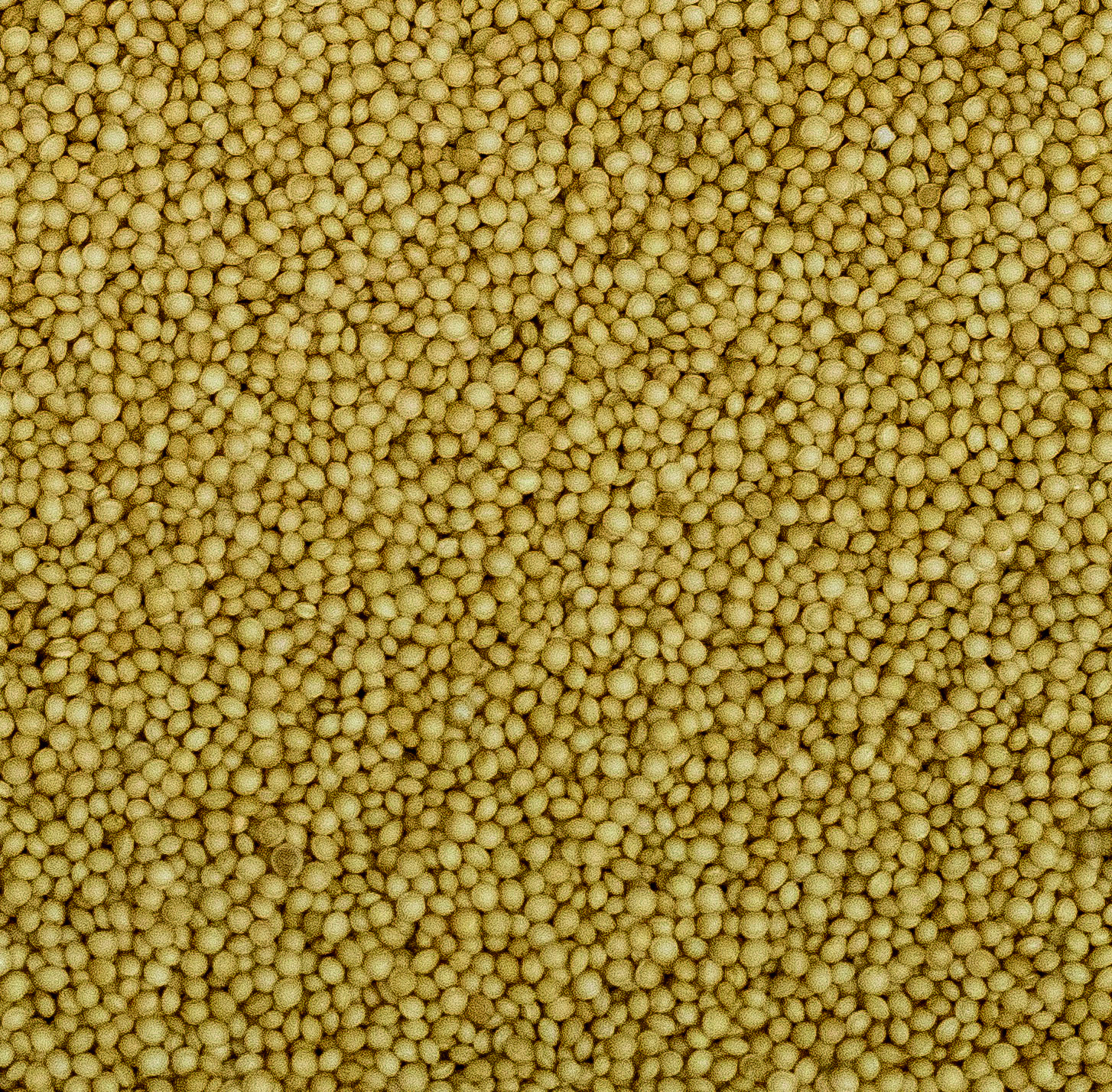 AMARANTO 800g