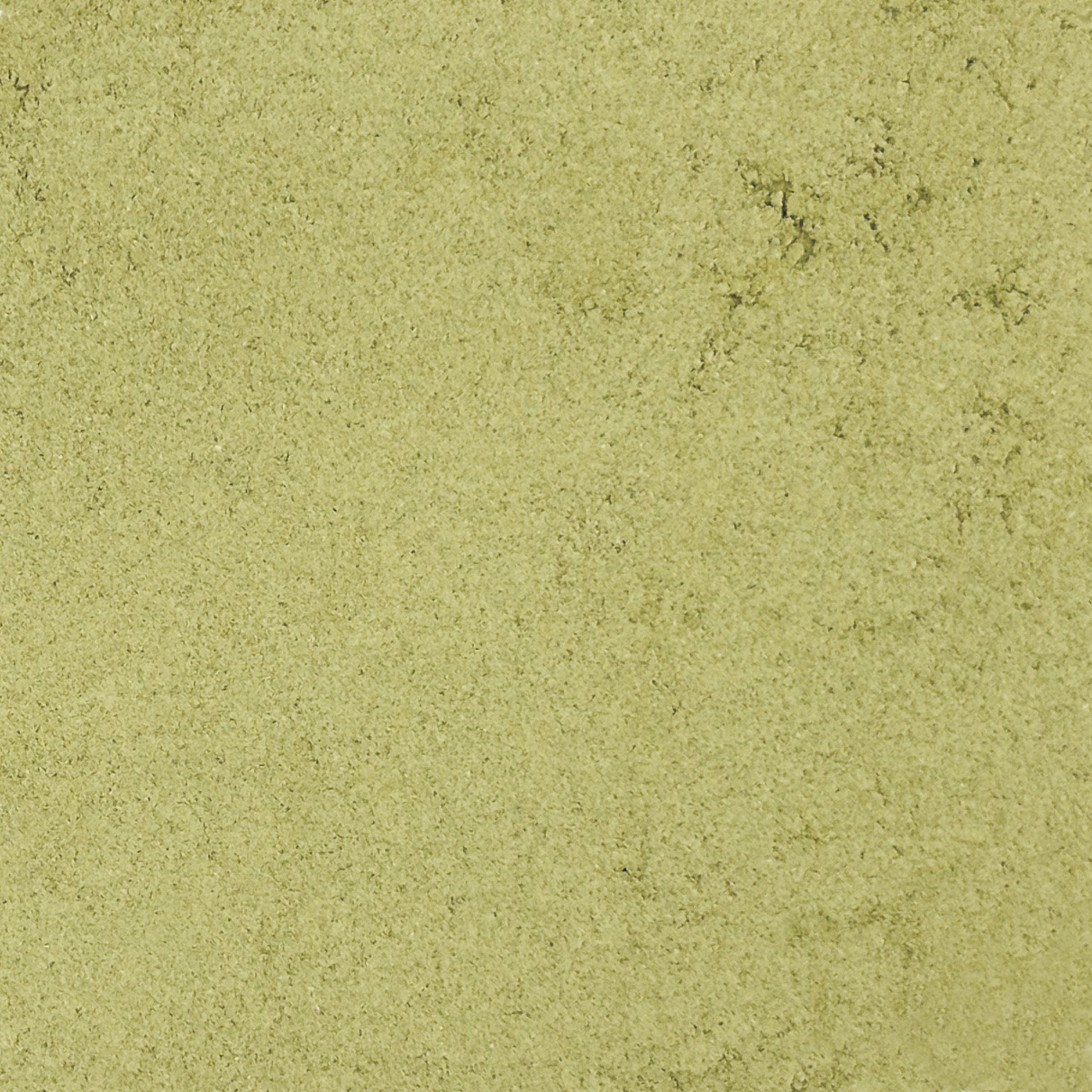 WASABI 100g