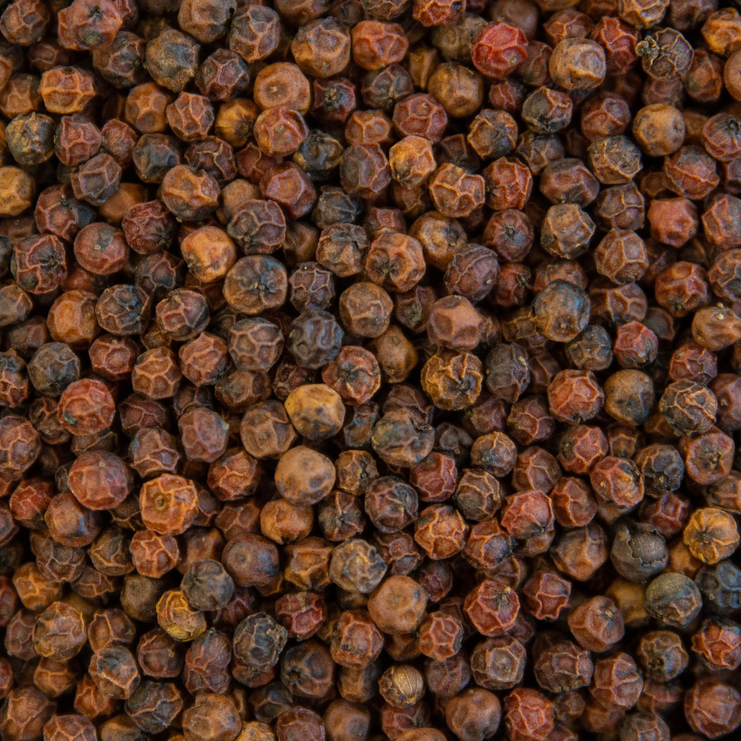 PIMIENTA ROJA IGP KAMPOT 5Kg