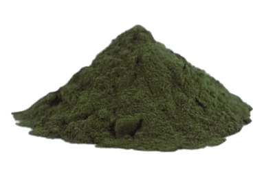 KOMBU POLVO 350g