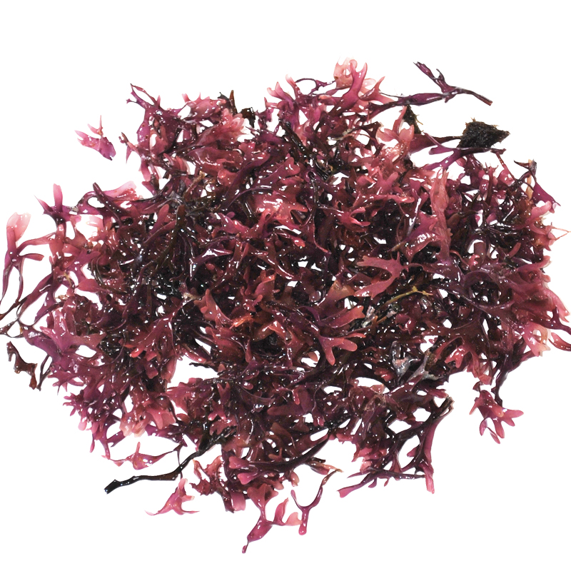 MUSGO ESTRELLADO 50g