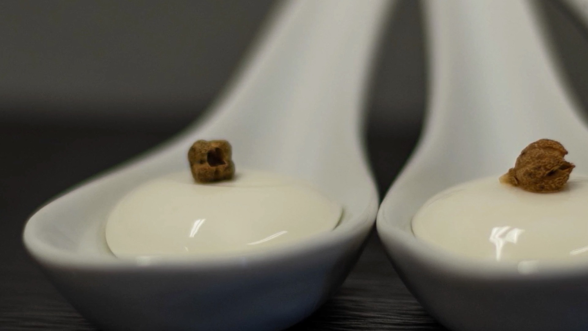 esferificación básica de yogur esferificación básica de yogur