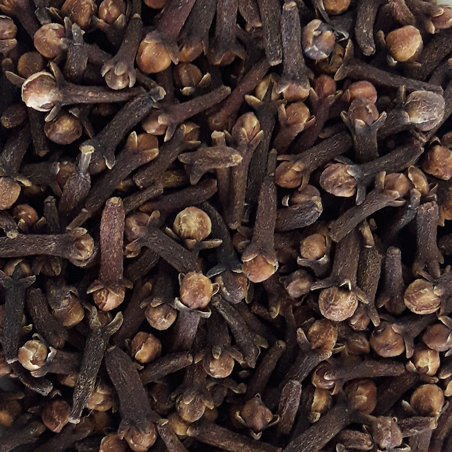 CLAVO 100g