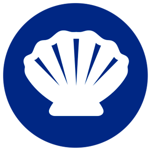 mollusques