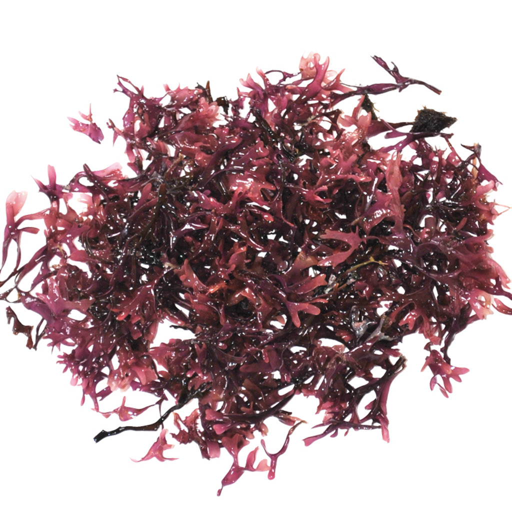 musgo estrellado 300g