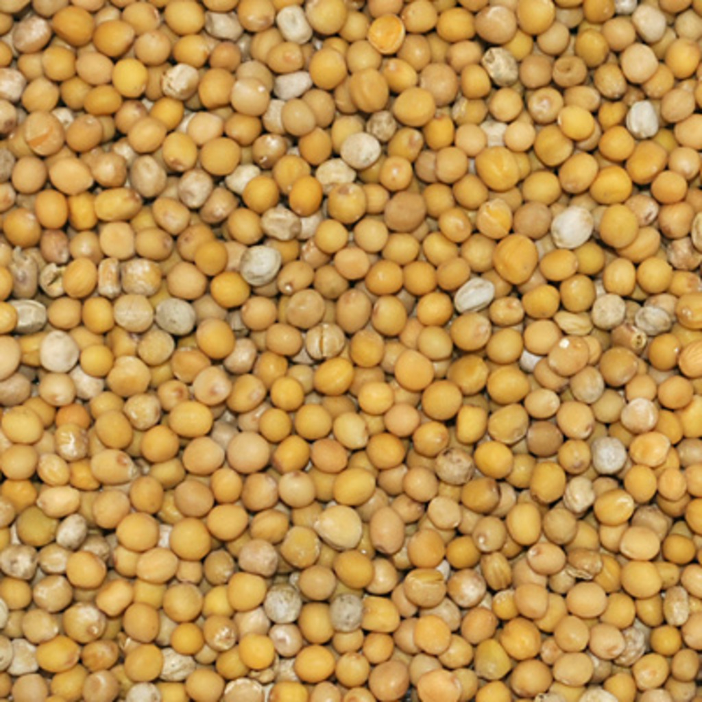 mostaza en grano 350g