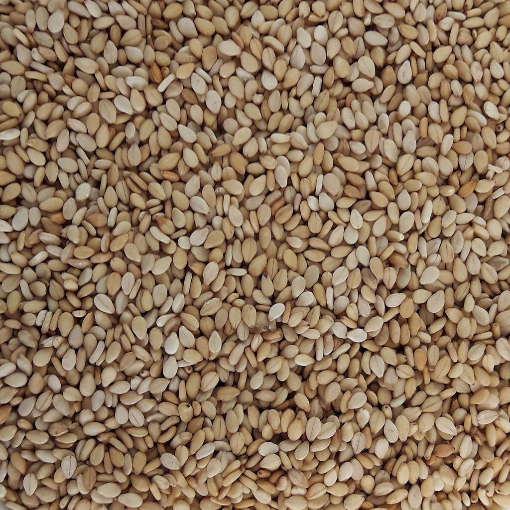 semillas de sésamo 120g